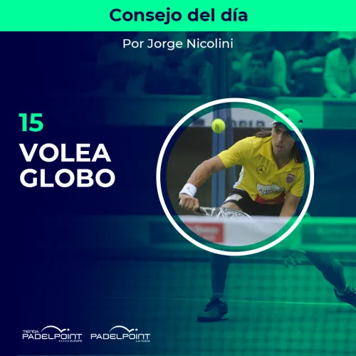 15. VOLEA GLOBO