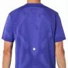 Camiseta Asics Road Seamless SS Top Purpura