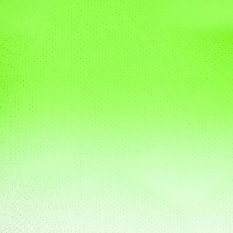 Camiseta Bidi Badu Crew Gradiant Neon White Green