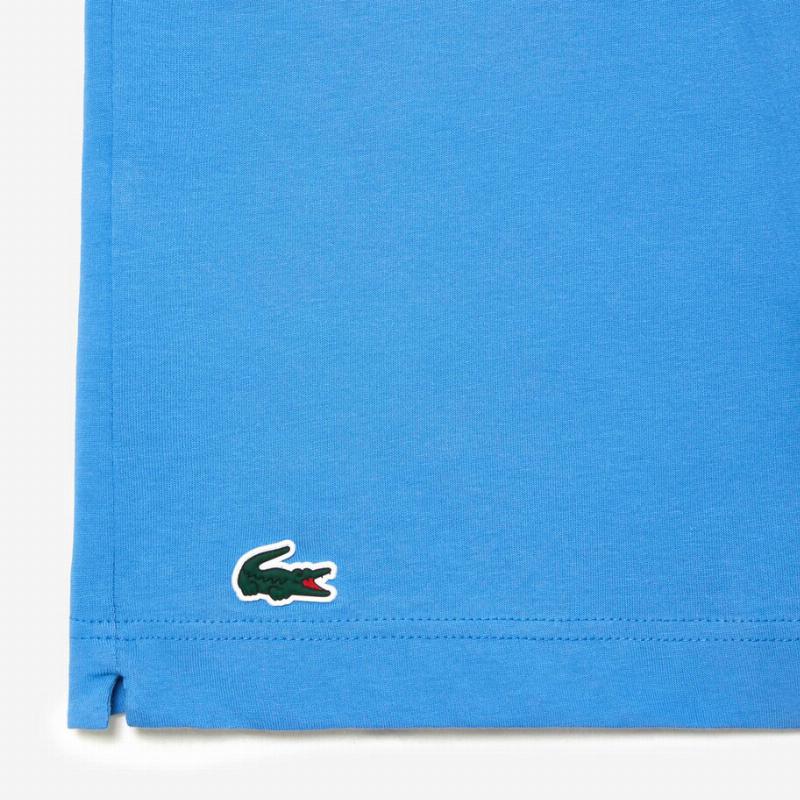 Camiseta Lacoste Novak Djokovic Azul - Barata Oferta Outlet