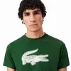 Lacoste Sport Green White T-Shirt