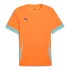 Puma Individual Orange T-Shirt