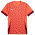 Puma Individual T-Shirt Burgundy Red