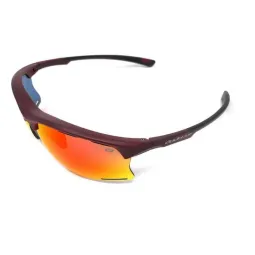 Addictive Ondara C2 Burgundy Goggles