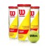 3-Pack Wilson Championship Extra Duty Pellet Dinghies