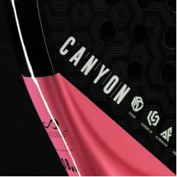 Pala Endless Canyon Rosa