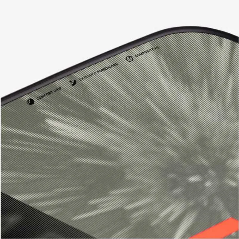 Pala Pickleball Head Radical Pro 2024