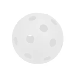 Pelota Pickleball School