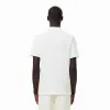 Lacoste Regular Fit Cotton White Polo