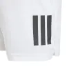 Adidas Club White Junior Shorts