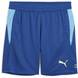 Cobalt Blue Puma Shorts