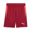 Puma Single Dark Red Shorts