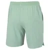 Short Tecnifibre Team Stretch Verde